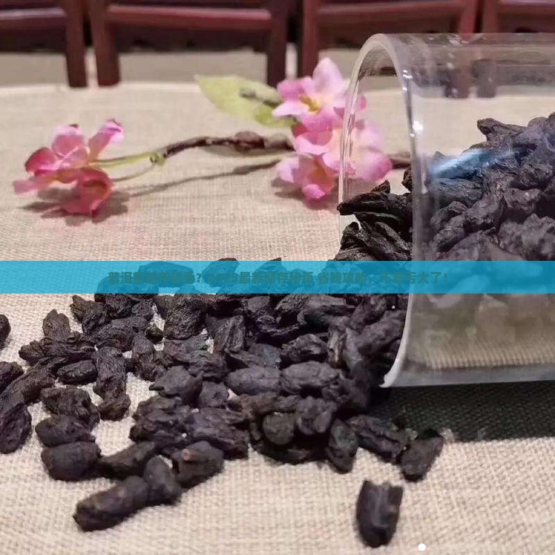 普洱茶怎么才能储存更久
