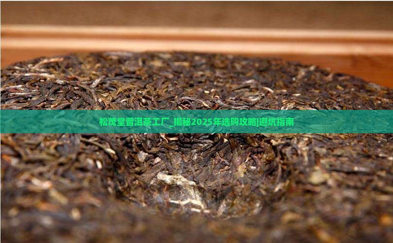 松茂堂普洱茶工厂