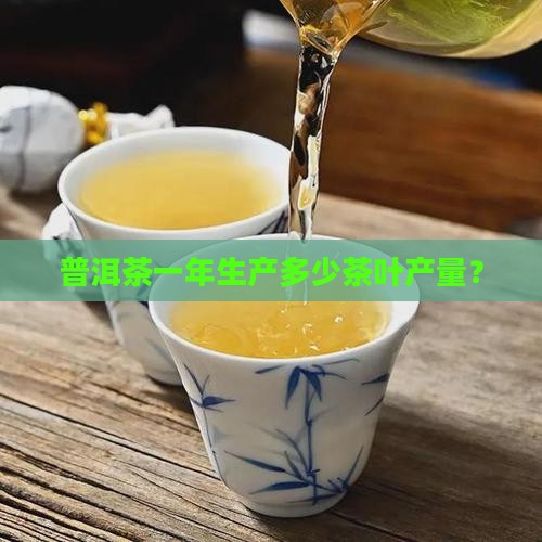 普洱茶一年产多少斤茶叶