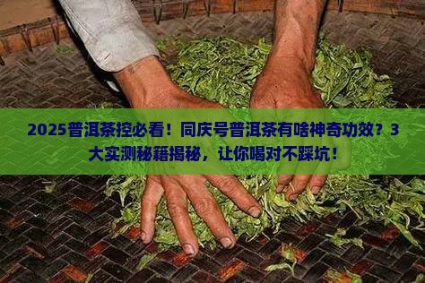 同庆号普洱茶有什么功效