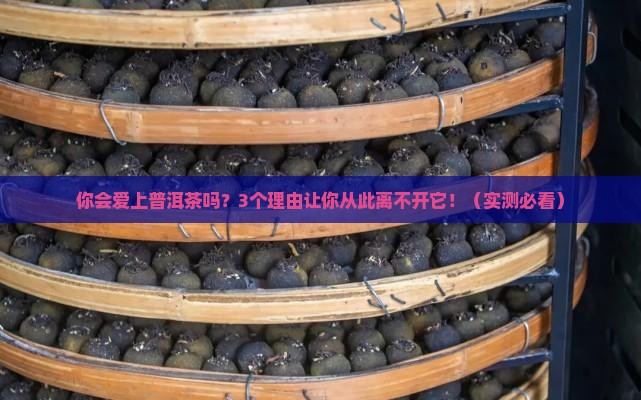 你会爱上普洱茶吗