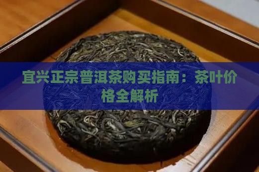 宜兴普洱茶哪里买正宗