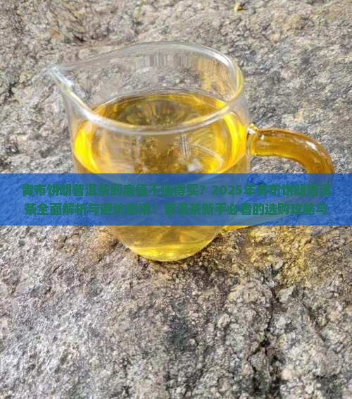 青布饼朗普洱茶