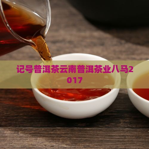 信记号普洱茶2017