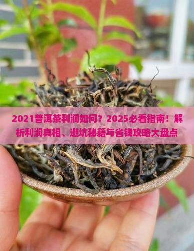 2021普洱茶利润
