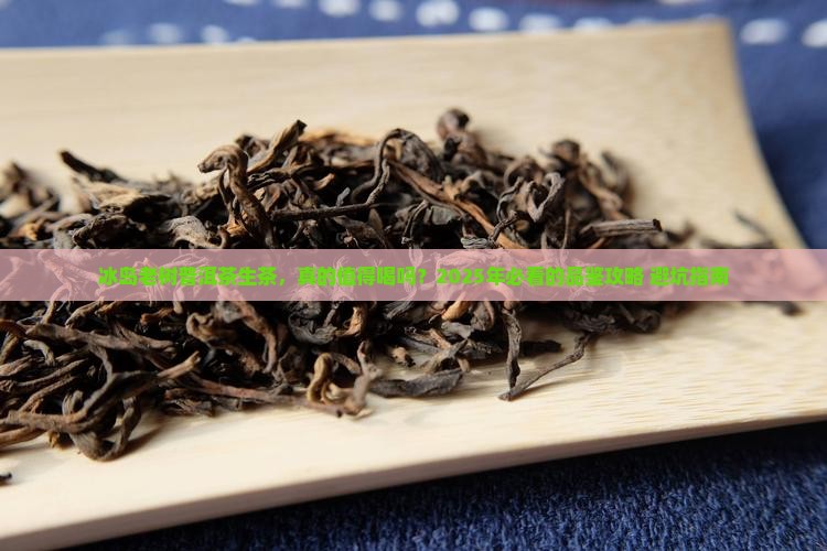 冰岛老树普洱茶生茶