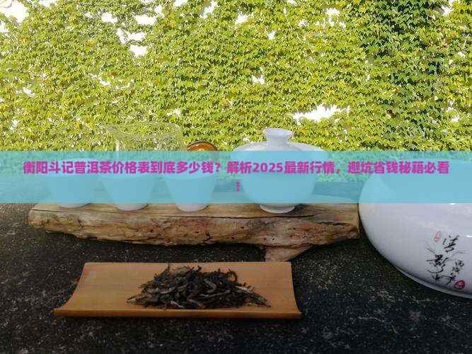 衡阳斗记普洱茶价格表