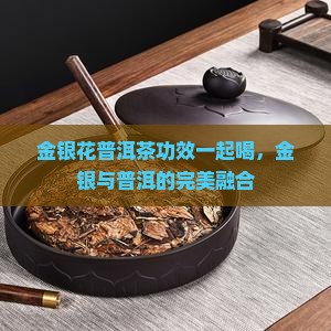 肉桂丹参普洱茶金银花
