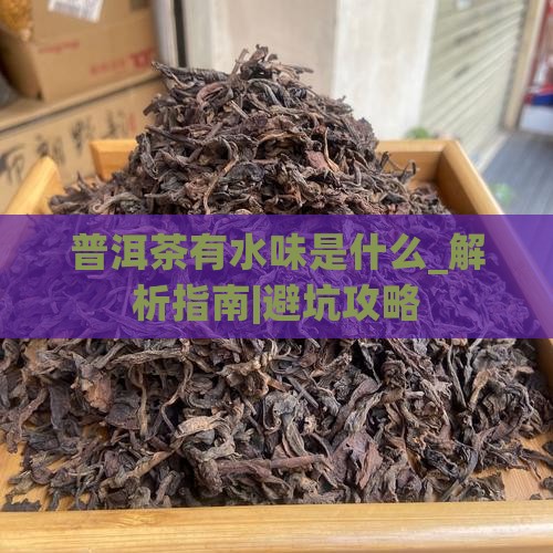 普洱茶有水味是什么