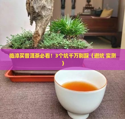 临漳普洱茶零售