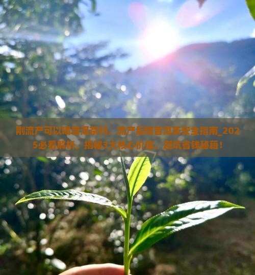 刚流产可以喝普洱茶吗