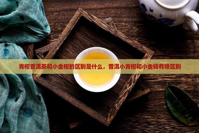 青柑普洱茶和小金柑的区别