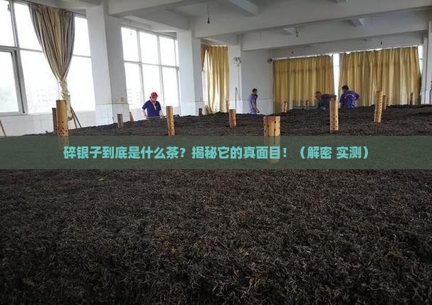 碎银子属于哪种茶种类