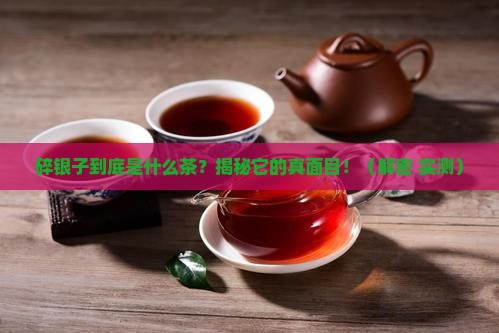 碎银子属于哪种茶种类