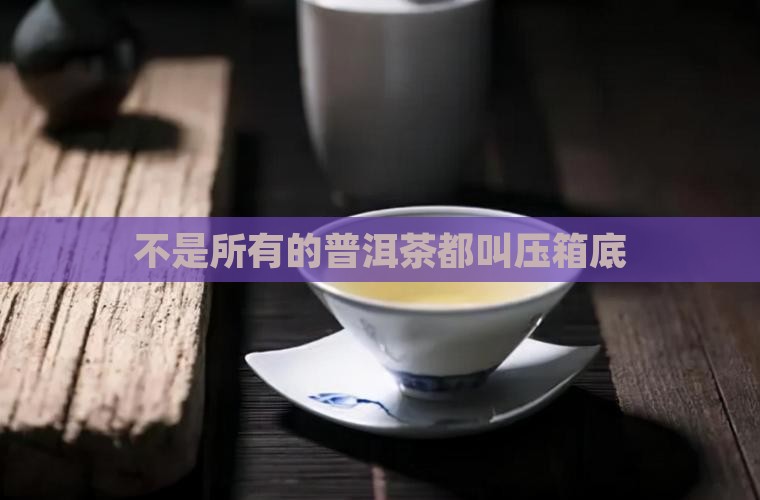 不是所有的普洱茶都叫压箱底