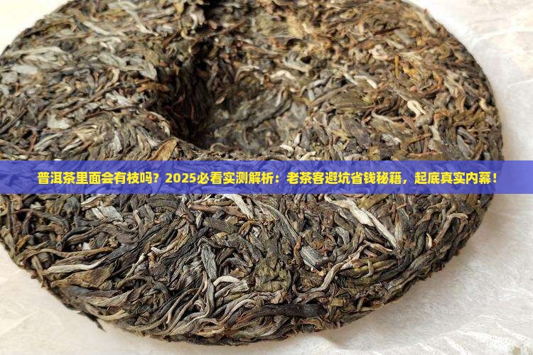 普洱茶里面会有枝吗