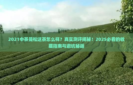 2021中茶曼松这茶怎么样