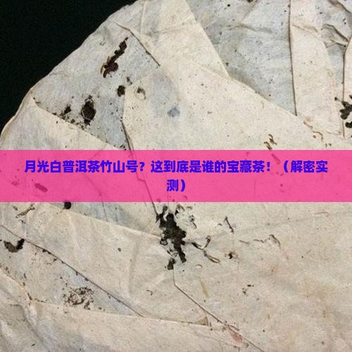 月光白普洱茶竹山号