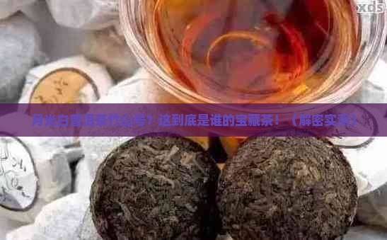 月光白普洱茶竹山号