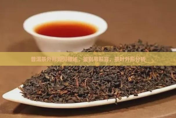 普洱茶外形如何