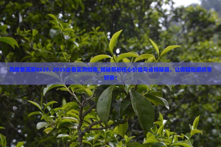 凤牌普洱茶8523