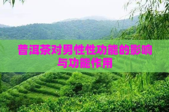 普洱茶性功能的功效与作用