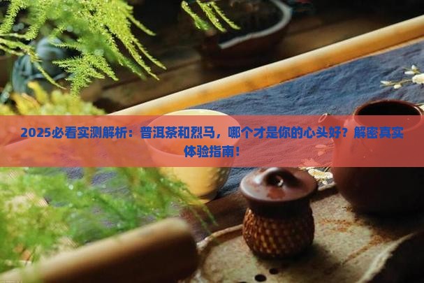 普洱茶和烈马哪个好