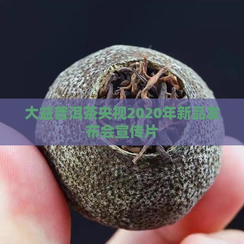 大益普洱茶央视