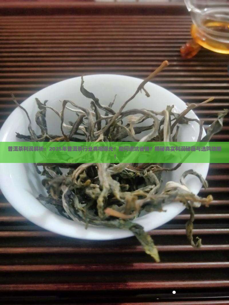 普洱茶一般利润在多少