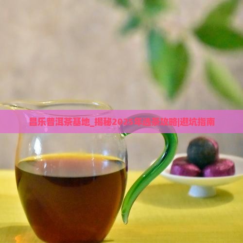 昌乐普洱茶基地