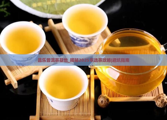 昌乐普洱茶基地
