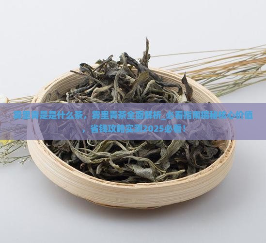 雾里青是是什么茶