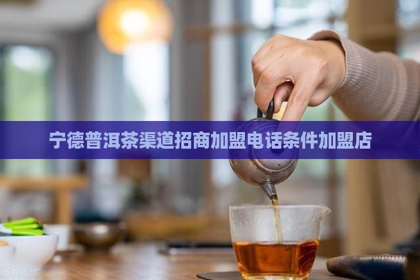 宁德普洱茶渠道招商加盟