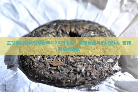 金芽普洱茶没有茶香味
