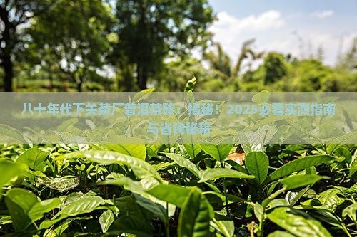 八十年代下关茶厂普洱茶砖