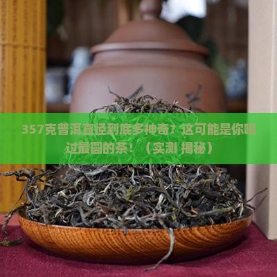 357克普洱直径