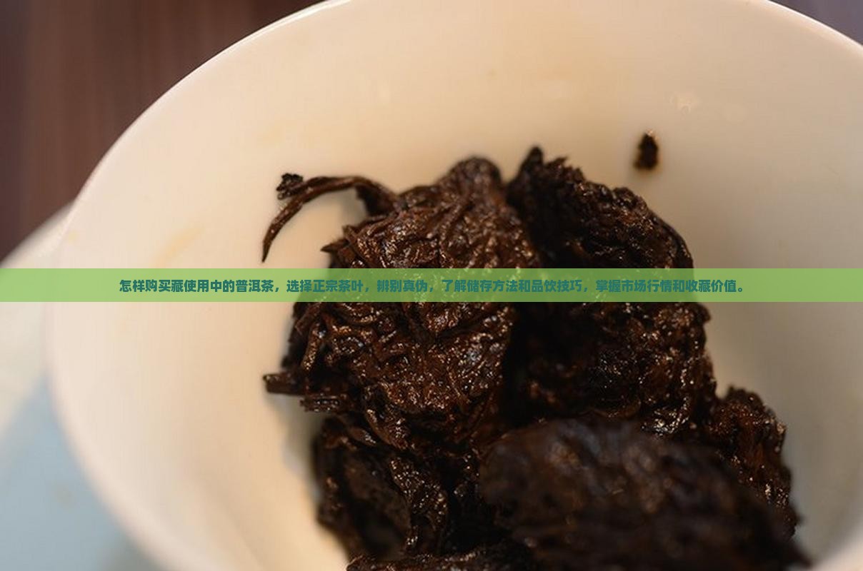怎样购买藏使用中的普洱茶