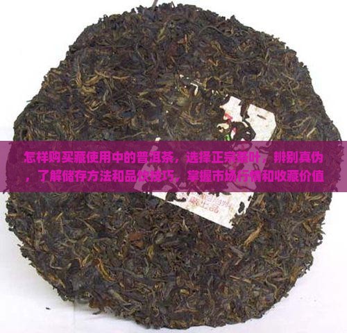 怎样购买藏使用中的普洱茶