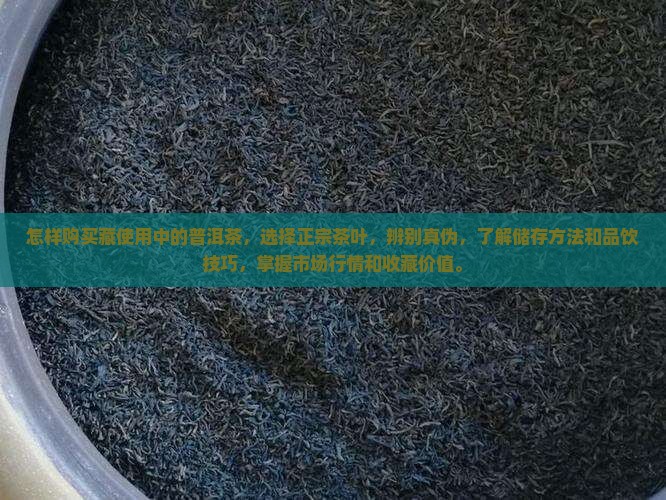 怎样购买藏使用中的普洱茶