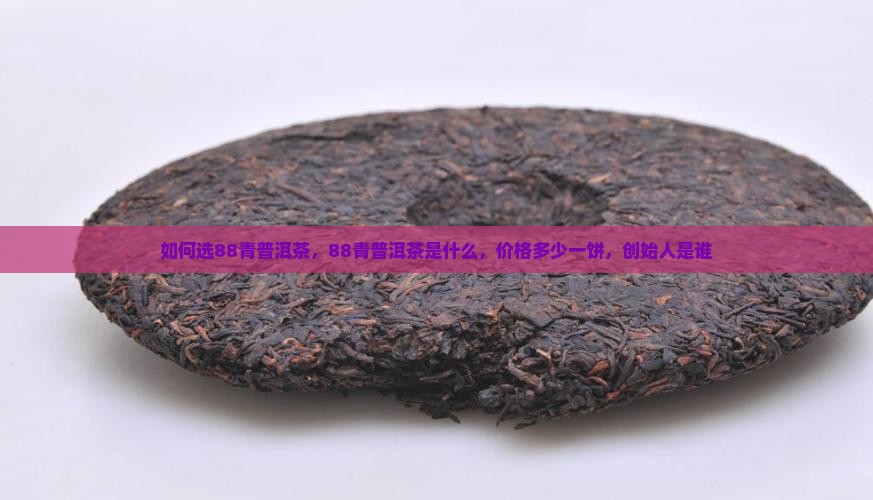 如何选88青普洱茶