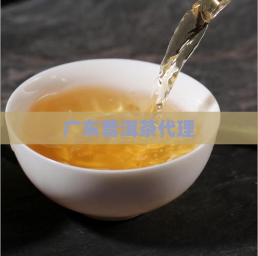 广东普洱茶代理