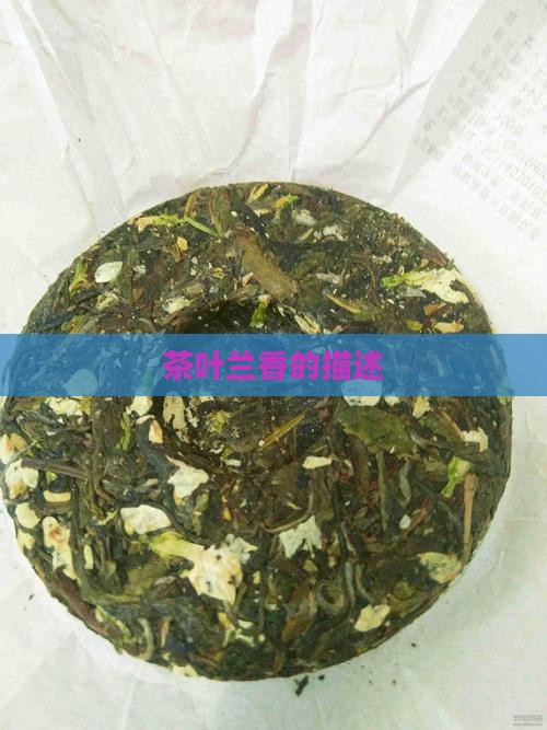 茶叶兰香的描述