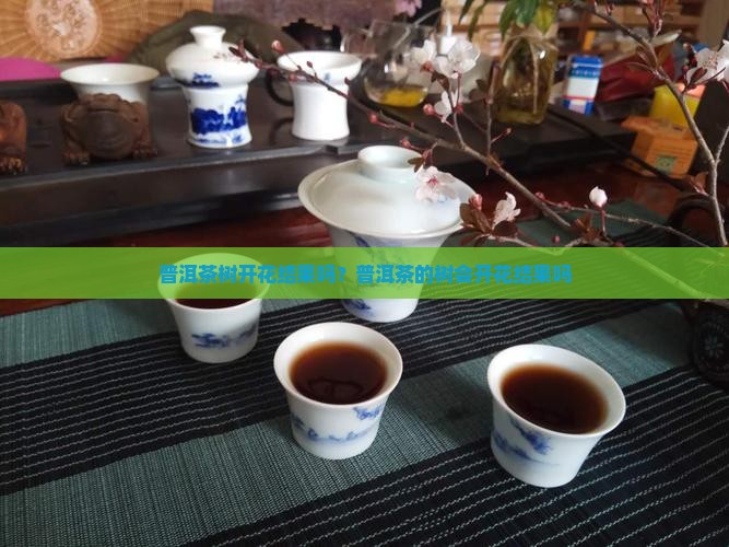 普洱茶的树花开结果吗
