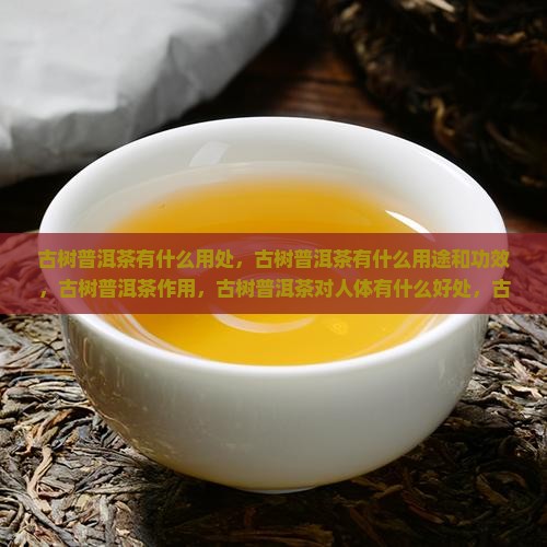 古树普洱茶有什么用