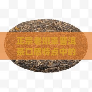 正宗老班章口感特点
