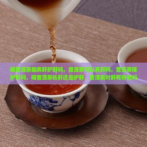 喝普洱茶能养肝护肝吗