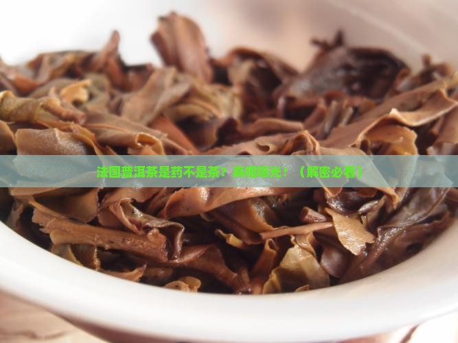法国普洱茶是药不是茶