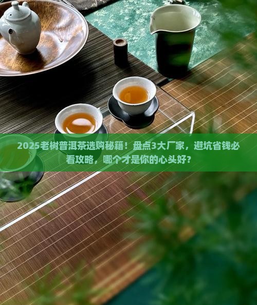 老树普洱茶哪个厂家的好
