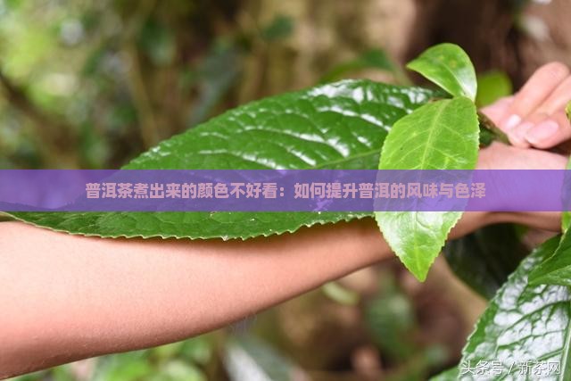 普洱茶煮出来的颜色不好看