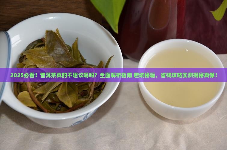 不建议喝普洱茶